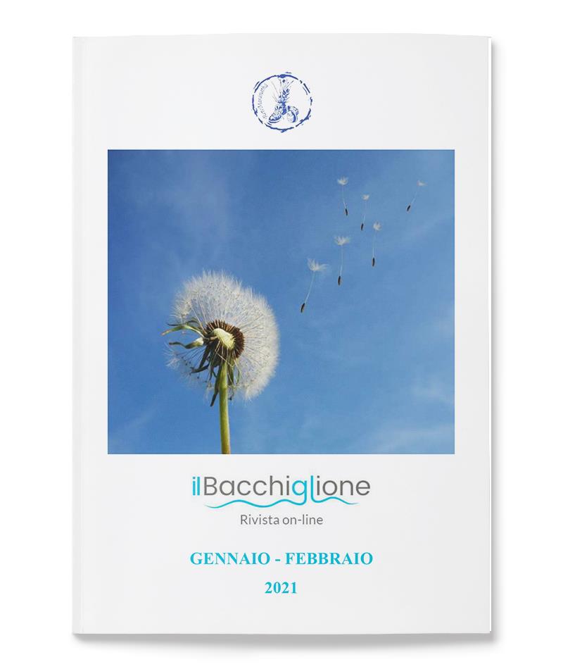 #25-2021 Bacchiglione #25-2021 Bacchiglione